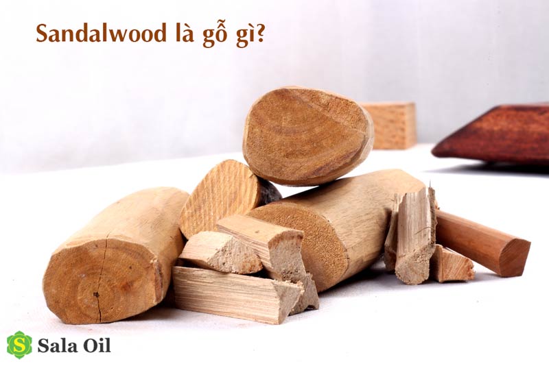 Sandalwood là gì? Dùng như thế nào? sandalwood là gỗ gì