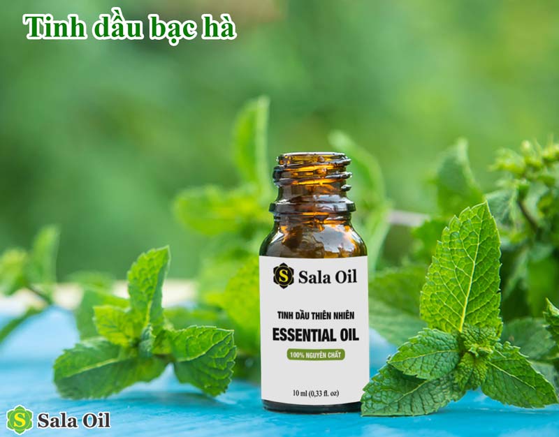 Top 5 tinh dầu giặt là được nhiều người yêu thích tinh dầu bạc hà giặt là