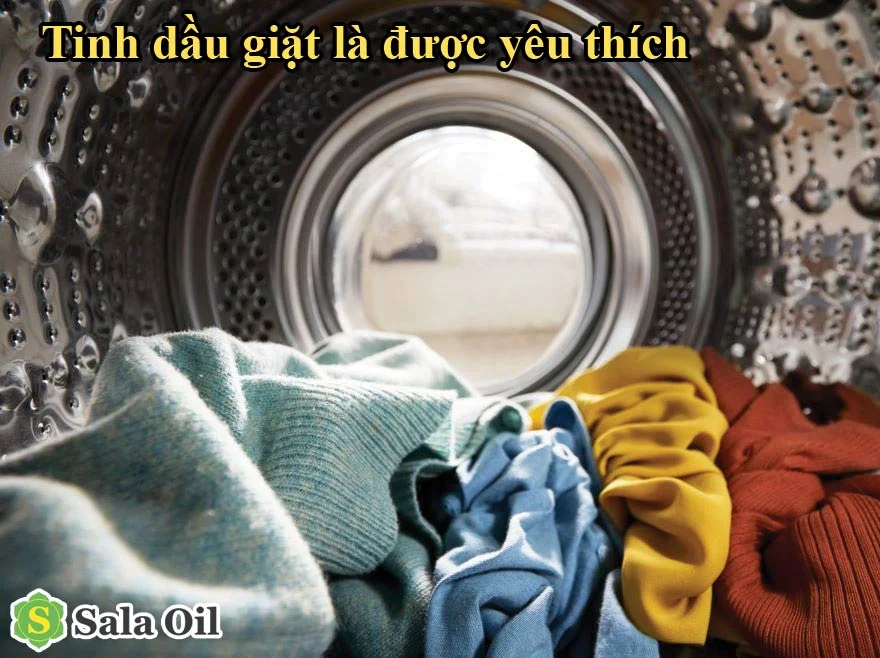 tinh dầu giặt là được yêu thích