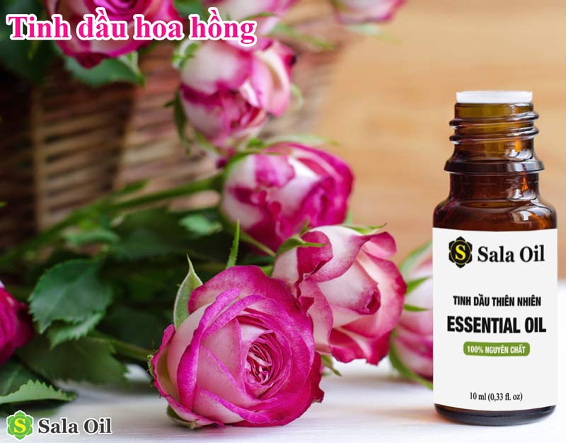 Top 5 tinh dầu giặt là được nhiều người yêu thích tinh dầu hoa hồng trong giặt là