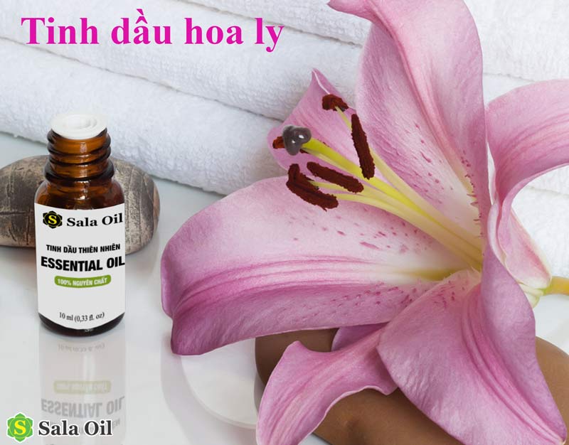 Top 5 tinh dầu giặt là được nhiều người yêu thích tinh dầu hoa ly giặt là