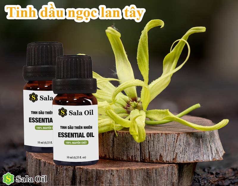 Top 5 tinh dầu giặt là được nhiều người yêu thích tinh dầu ngọc lan tây giặt là