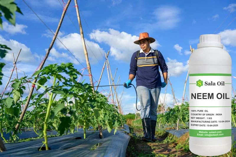 cách sử dụng dầu neem ép lạnh