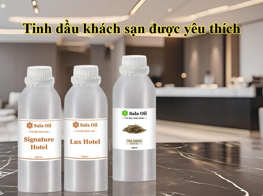 Tinh dầu cho khách sạn 5 sao