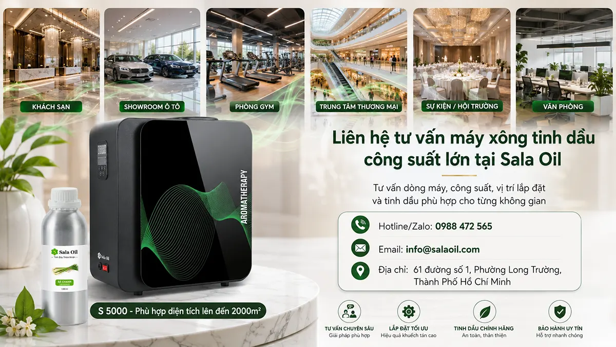 Nhà cung cấp máy xông tinh dầu công suất lớn