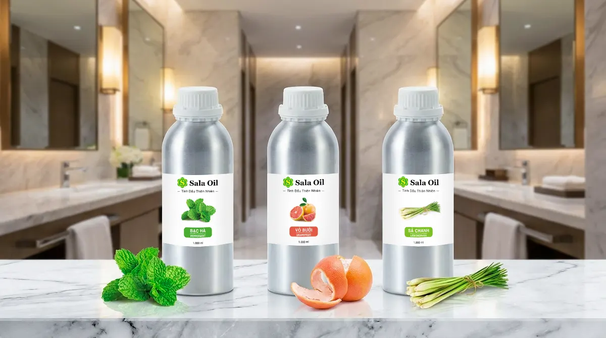 Tinh dầu tươi mát cho nhà vệ sinh