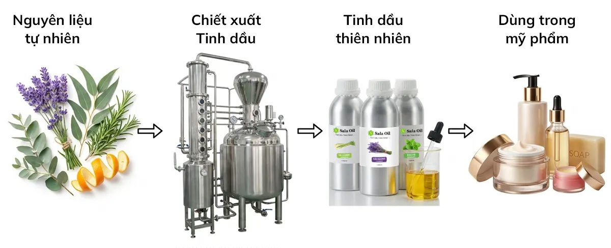 Nguồn cung cấp tinh dầu làm mỹ phẩm nhập khẩu chuẩn quốc tế Quy trình sản xuất tinh dầu nguyên liệu mỹ phẩm thiên nhiên