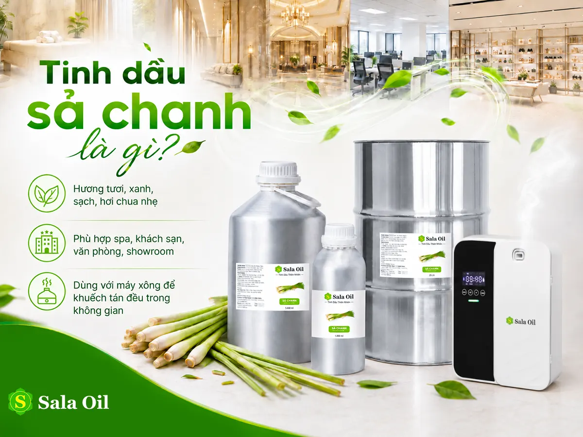 Tinh dầu sả chanh là gì?