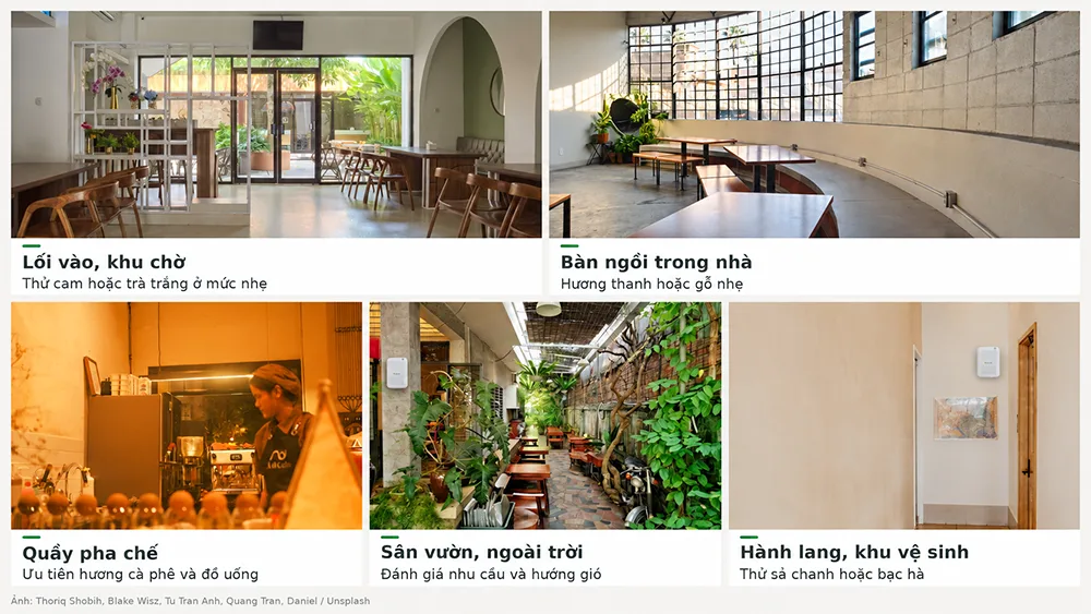 Sử dụng tinh dầu cho quán cà phê